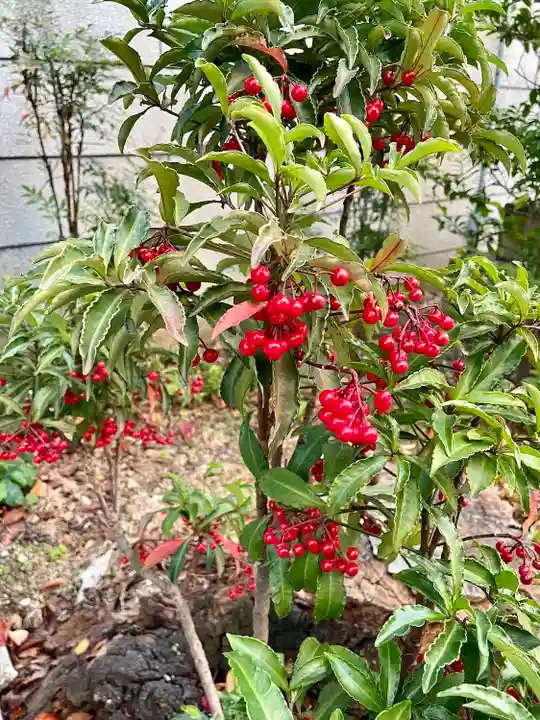 大國神社(東京都)