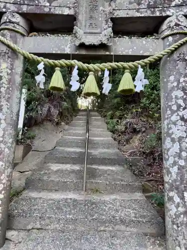 淡島神社の{uncategorized: "未分類", other: "その他", undefined: "問題あり", building: "その他建物", grave: "お墓", sacred_gate: "鳥居", guardian: "狛犬", statue: "像", buddha: "仏像", history: "歴史", nature: "自然", garden: "庭園", animal: "動物", pagoda: "塔", temizu: "手水舎", mountain_gate: "山門・神門", sanctuary: "本殿・本堂", subordinate: "末社・摂社", art: "芸術", scenery: "景色", jizo: "地蔵", ema: "絵馬", goshuin: "御朱印", omikuji: "おみくじ", items: "授与品その他", amulet: "お守り", goshuincho: "御朱印帳", eats: "食事", festival: "お祭り", votive_dance: "神楽", shichigosan: "七五三参", wedding: "結婚式", experience: "体験その他", initially: "初詣", around: "周辺", anti_infection: "感染症対策"}