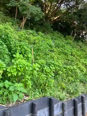 長谷寺(神奈川県)