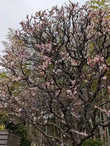 悟心寺(神奈川県)