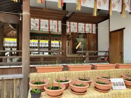 射楯兵主神社のその他建物