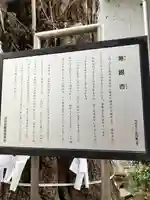 箒銀杏天満宮(東京都)