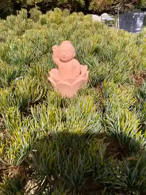 円照寺(兵庫県)