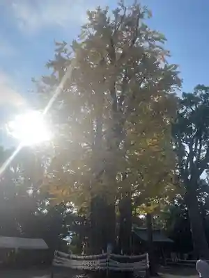 健軍神社(熊本県)