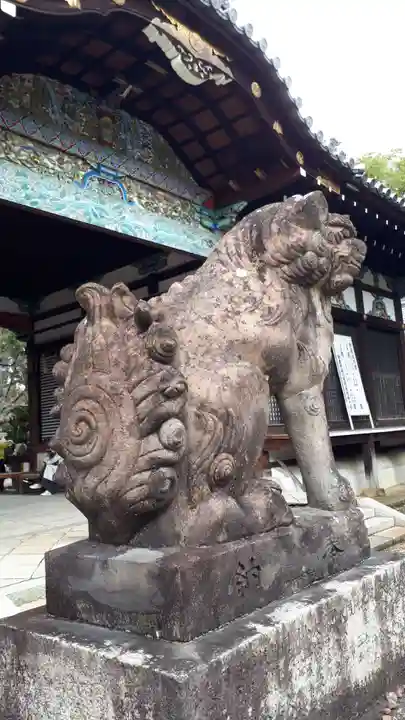 御香宮神社の狛犬