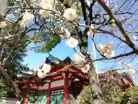 居木神社の本殿・本堂