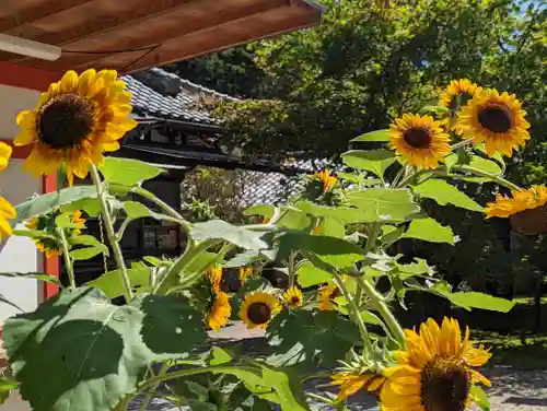 大原野神社(京都府)