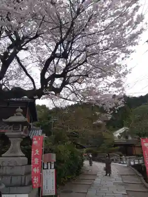 大豊神社(京都府)