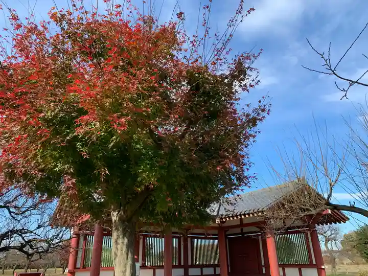 下野薬師寺 (旧 安國寺)(栃木県)