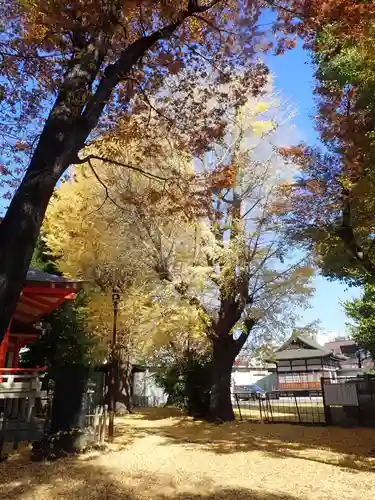 戸部杉山神社(神奈川県)