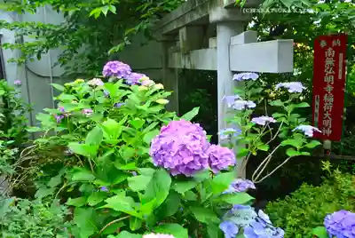 弘明寺(神奈川県)