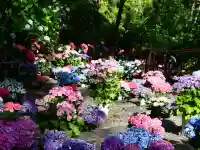 長谷寺(奈良県)