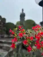 西福寺(兵庫県)