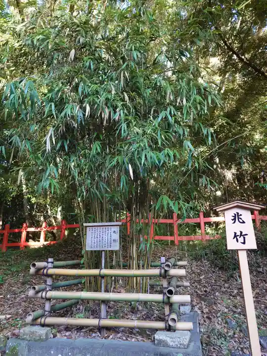 宇佐神宮(大分県)
