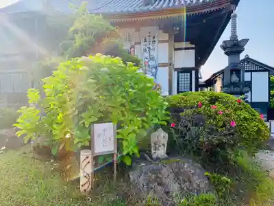 朝日寺のその他建物