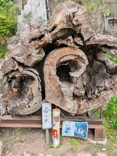 高津宮の{uncategorized: "未分類", other: "その他", undefined: "問題あり", building: "その他建物", grave: "お墓", sacred_gate: "鳥居", guardian: "狛犬", statue: "像", buddha: "仏像", history: "歴史", nature: "自然", garden: "庭園", animal: "動物", pagoda: "塔", temizu: "手水舎", mountain_gate: "山門・神門", sanctuary: "本殿・本堂", subordinate: "末社・摂社", art: "芸術", scenery: "景色", jizo: "地蔵", ema: "絵馬", goshuin: "御朱印", omikuji: "おみくじ", items: "授与品その他", amulet: "お守り", goshuincho: "御朱印帳", eats: "食事", festival: "お祭り", votive_dance: "神楽", shichigosan: "七五三参", wedding: "結婚式", experience: "体験その他", initially: "初詣", around: "周辺", anti_infection: "感染症対策"}