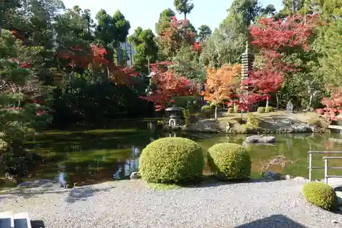 清凉寺の庭園