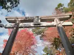 壺井八幡宮(大阪府)