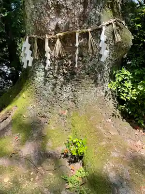 佐備神社(大阪府)