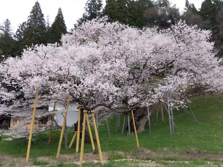 大幢寺(岐阜県)