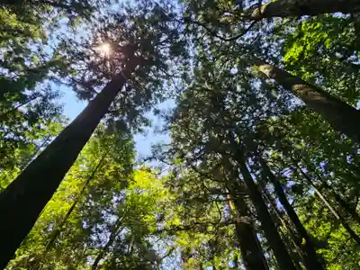 赤城神社(三夜沢町)の景色