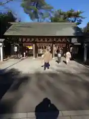 櫻木神社(千葉県)