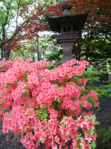 彌彦神社　(伊夜日子神社)の自然