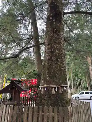 椿大神社(三重県)