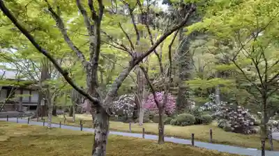 三千院門跡(京都府)