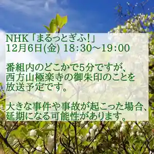西方山極楽寺(岐阜県)(2019年12月05日(木) 13時32分32秒投稿)
