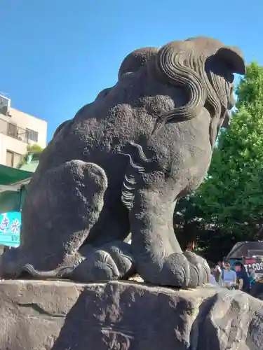浅草神社の狛犬