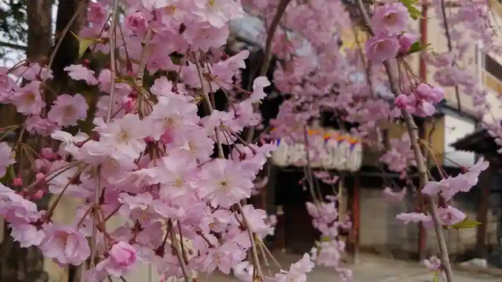 石像寺(釘抜地蔵)の自然