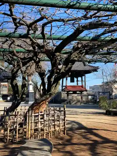 慈恩寺(埼玉県)