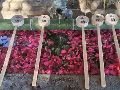 八坂神社(滋賀県)