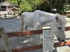 丹生川上神社（下社）(奈良県)