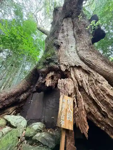 熊野那智大社の{uncategorized: "未分類", other: "その他", undefined: "問題あり", building: "その他建物", grave: "お墓", sacred_gate: "鳥居", guardian: "狛犬", statue: "像", buddha: "仏像", history: "歴史", nature: "自然", garden: "庭園", animal: "動物", pagoda: "塔", temizu: "手水舎", mountain_gate: "山門・神門", sanctuary: "本殿・本堂", subordinate: "末社・摂社", art: "芸術", scenery: "景色", jizo: "地蔵", ema: "絵馬", goshuin: "御朱印", omikuji: "おみくじ", items: "授与品その他", amulet: "お守り", goshuincho: "御朱印帳", eats: "食事", festival: "お祭り", votive_dance: "神楽", shichigosan: "七五三参", wedding: "結婚式", experience: "体験その他", initially: "初詣", around: "周辺", anti_infection: "感染症対策"}
