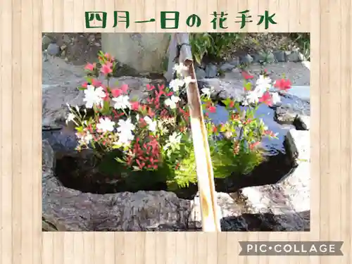 阿智神社の手水舎