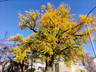 津島神社(愛知県)