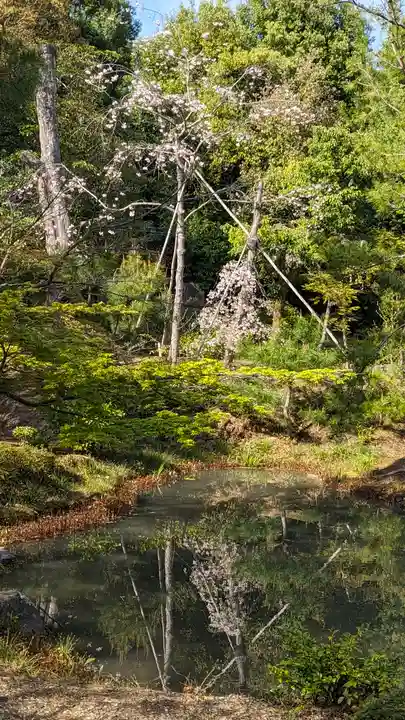 等持院(京都府)