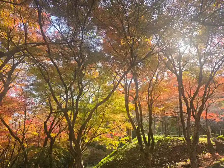 長安寺(京都府)