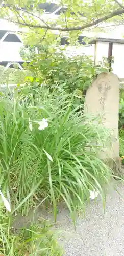 亀戸浅間神社の自然