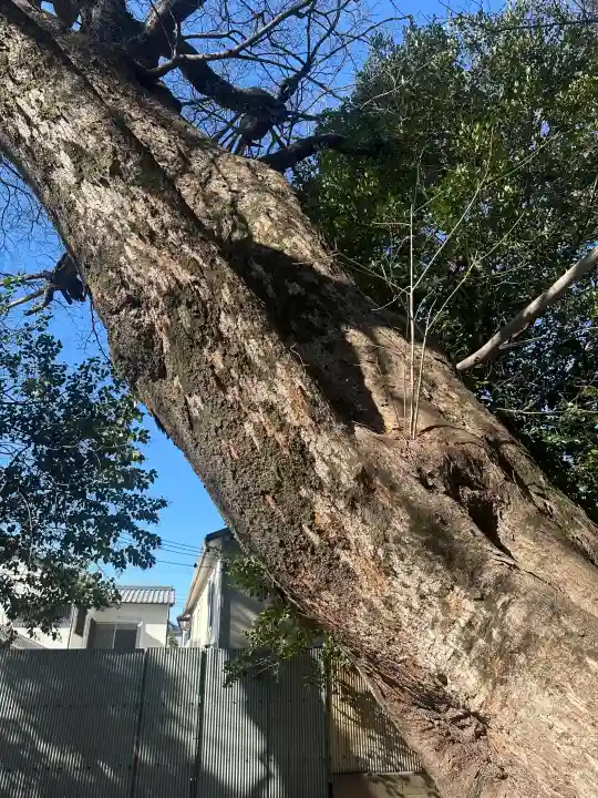 弓弦羽神社の{uncategorized: "未分類", other: "その他", undefined: "問題あり", building: "その他建物", grave: "お墓", sacred_gate: "鳥居", guardian: "狛犬", statue: "像", buddha: "仏像", history: "歴史", nature: "自然", garden: "庭園", animal: "動物", pagoda: "塔", temizu: "手水舎", mountain_gate: "山門・神門", sanctuary: "本殿・本堂", subordinate: "末社・摂社", art: "芸術", scenery: "景色", jizo: "地蔵", ema: "絵馬", goshuin: "御朱印", omikuji: "おみくじ", items: "授与品その他", amulet: "お守り", goshuincho: "御朱印帳", eats: "食事", festival: "お祭り", votive_dance: "神楽", shichigosan: "七五三参", wedding: "結婚式", experience: "体験その他", initially: "初詣", around: "周辺", anti_infection: "感染症対策"}