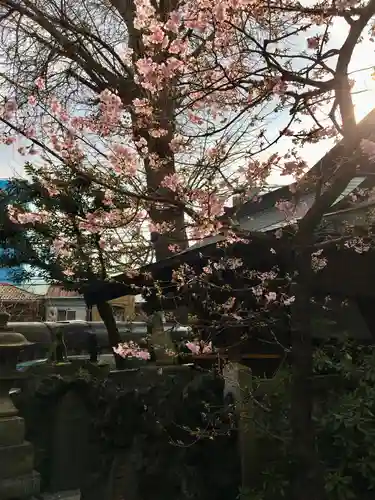 小野照崎神社の自然