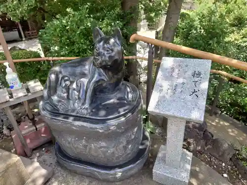 鎮守氷川神社の体験その他