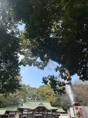 熱田神宮(愛知県)