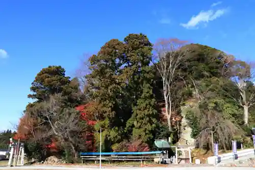 立鉾鹿島神社の自然