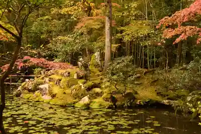 天授庵(京都府)