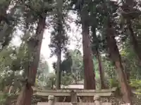大宮温泉神社の鳥居