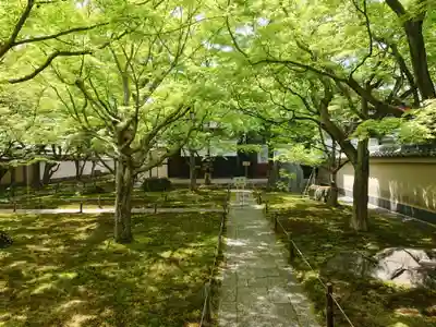 黄梅院(京都府)