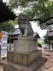 七所神社の狛犬